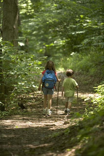 Mädchen und Junge wandern mit Wanderstock durch den Wald