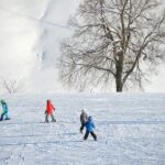 Drei Kinder fahren Ski. Winterlandschaft im Hintergrund