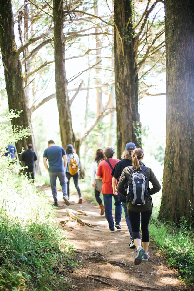 Eine Menschengruppe wandert auf einem Waldweg.
