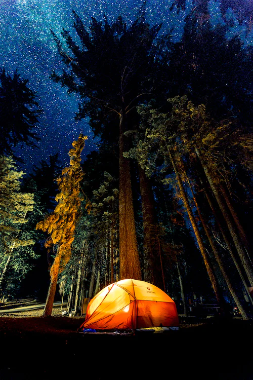 Beleuchtetes, oranges Zelt steht im Wald. Im Himmel sind Sterne zu sehen. 