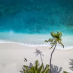 Strand mit Palmen aus der Vogelperspektive