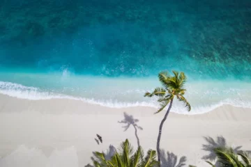 Strand mit Palmen aus der Vogelperspektive