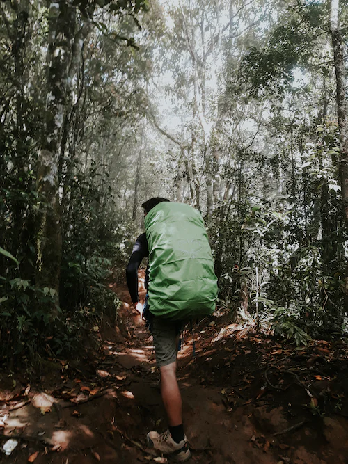 Person mit einem großen, grünen Rucksack geht durch den Wald.